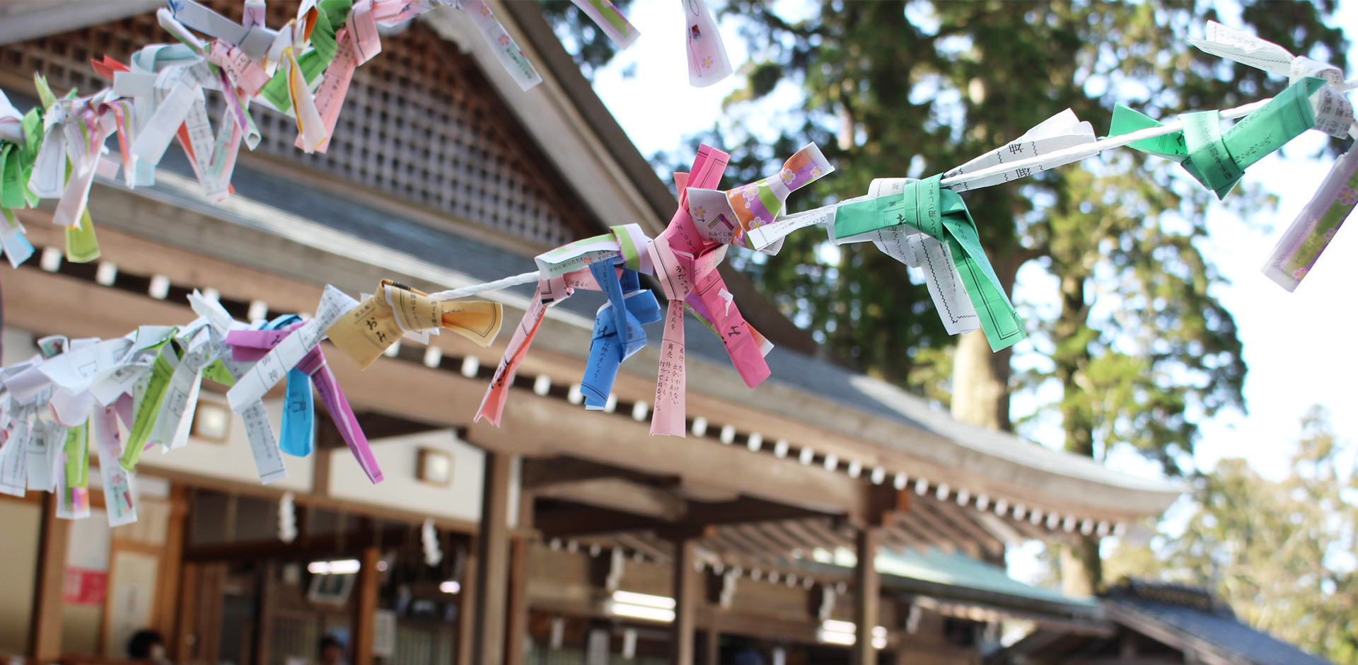 英彦山 たんぽぽ村